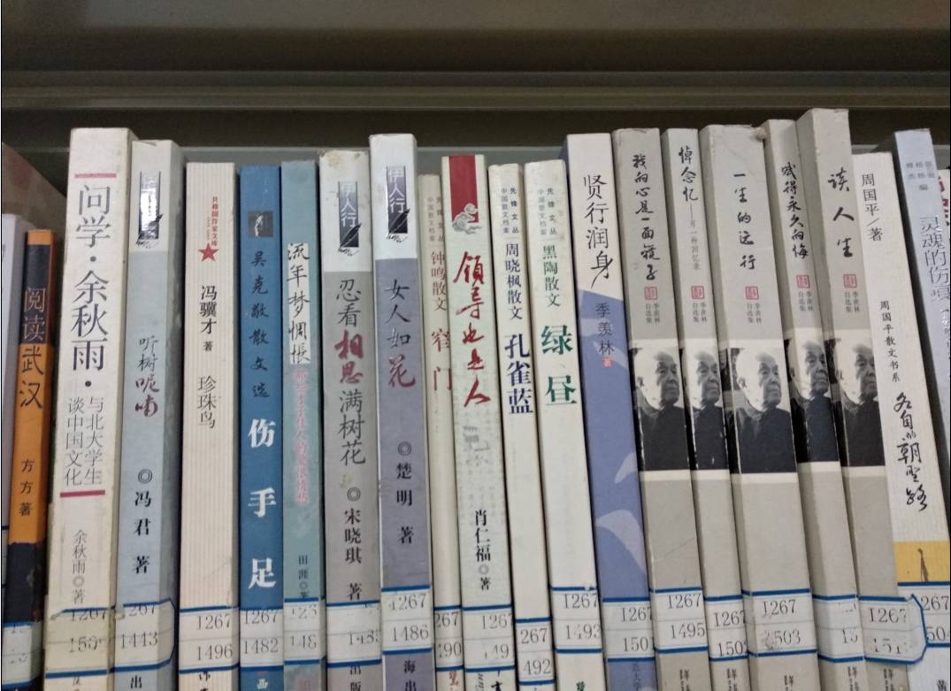 大王椰板材价格一览表，8毫米为75元／平方米（还有12、16、20毫米）